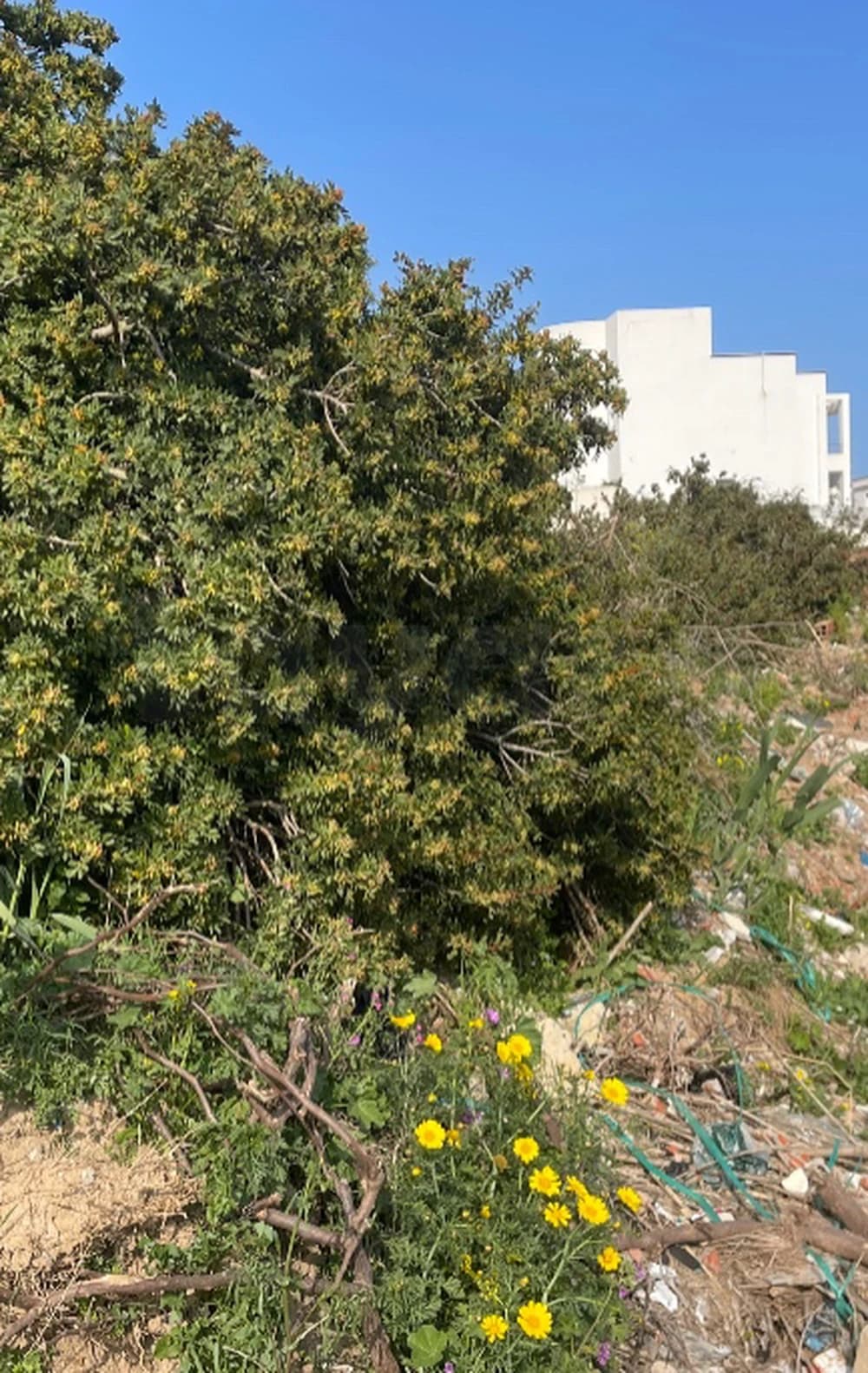 À vendre un terrain à cité Ennasr 2 Ariana 