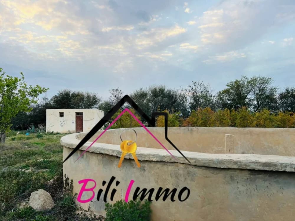 سانية للبيع في سيدى بوزيد