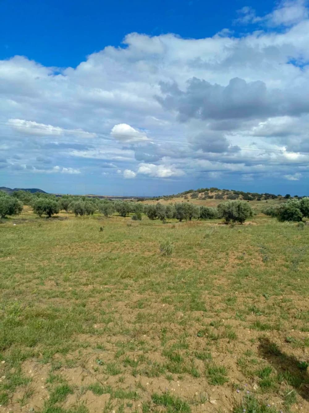 للبيع 4100م بالزريبة زغوان 99958728