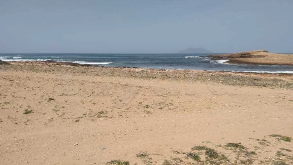 قطعة الأرض للبيع 5 هكتارات موقع أول على البحر سيدي دواد الهوارية 