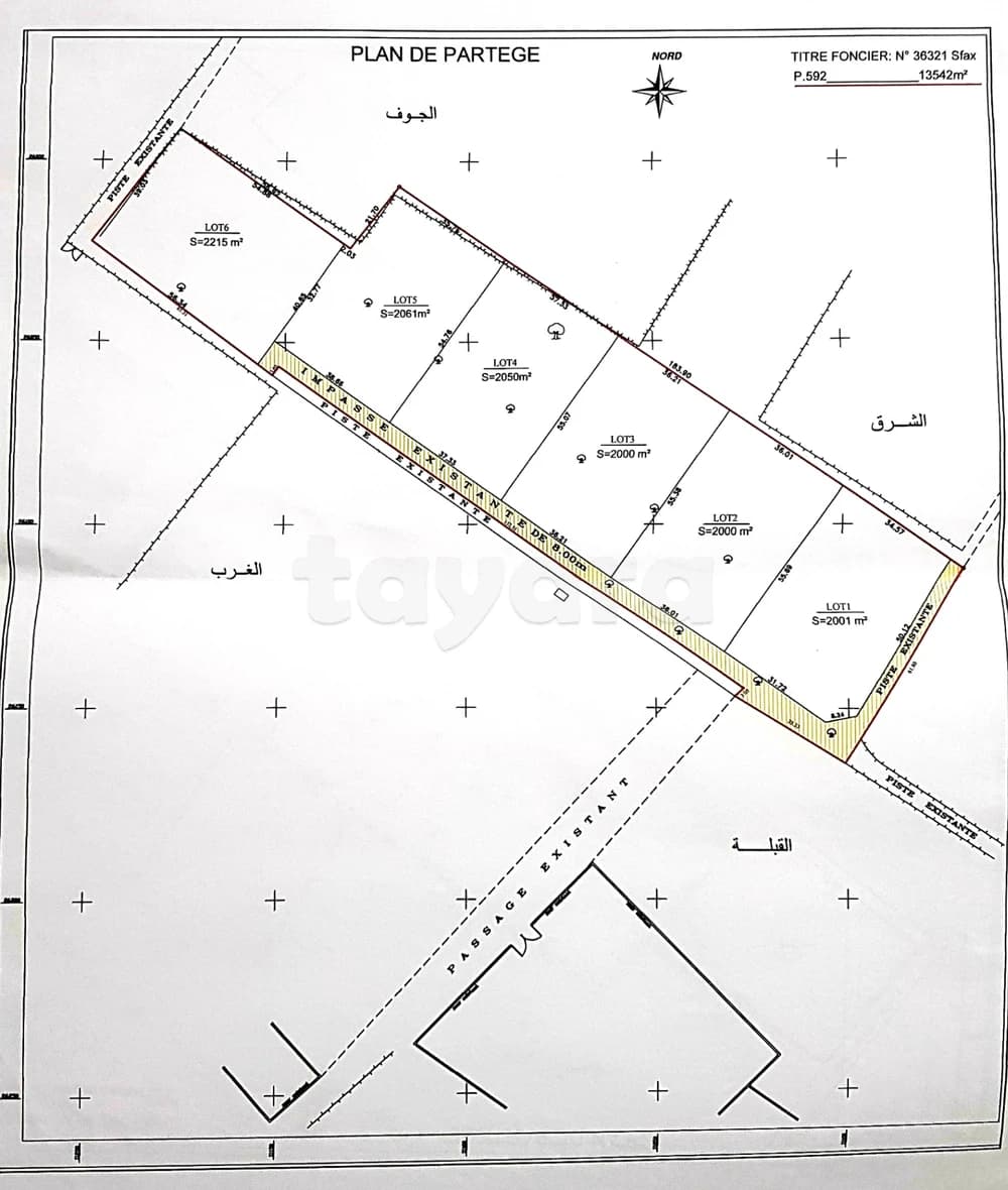 Terrain rectangulaire 