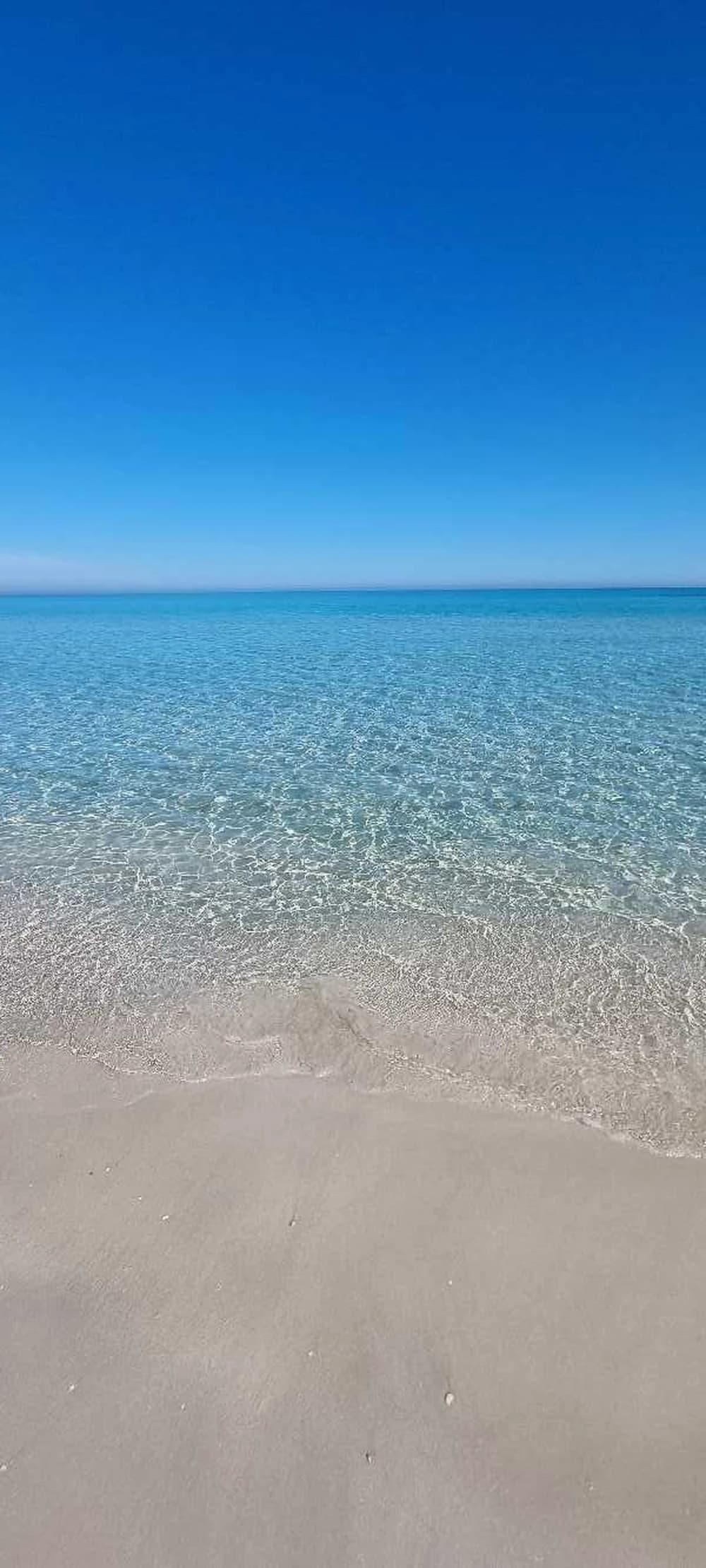 terrain mahdia plage 