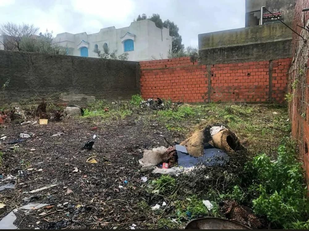 أرض في منزل بورقيبة 