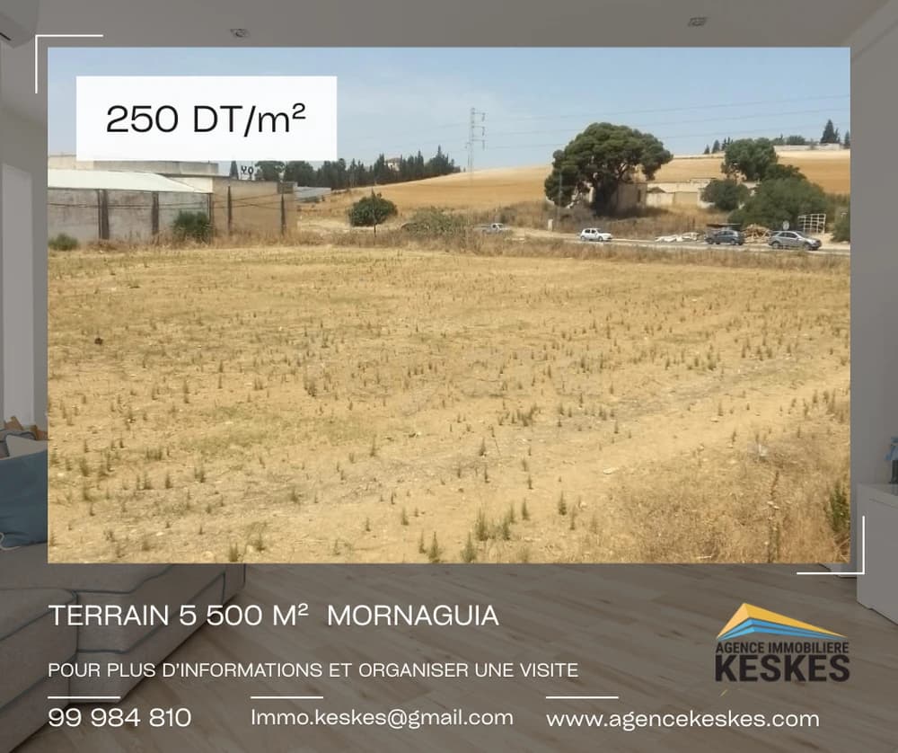 Terrain El Mornaguia