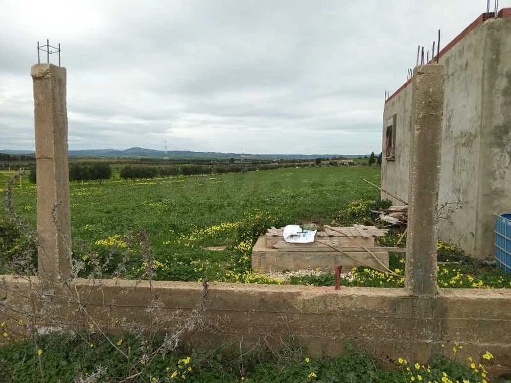 ارض فلاحية للبيع مساحتها هكتار كائنة بمنوبة برج العامري