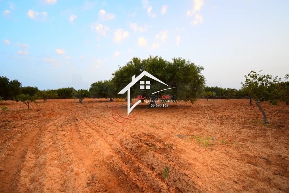 𝑻𝒆𝒓𝒓𝒂𝒊𝒏 𝑨𝒈𝒓𝒊𝒄𝒐𝒍𝒆 𝒂̀ 𝑽𝒆𝒏𝒅𝒓𝒆 𝒂̀ 𝒃𝒆𝒌𝒂𝒍𝒕𝒂 𝑴𝒐𝒏𝒆𝒔𝒕𝒊𝒓