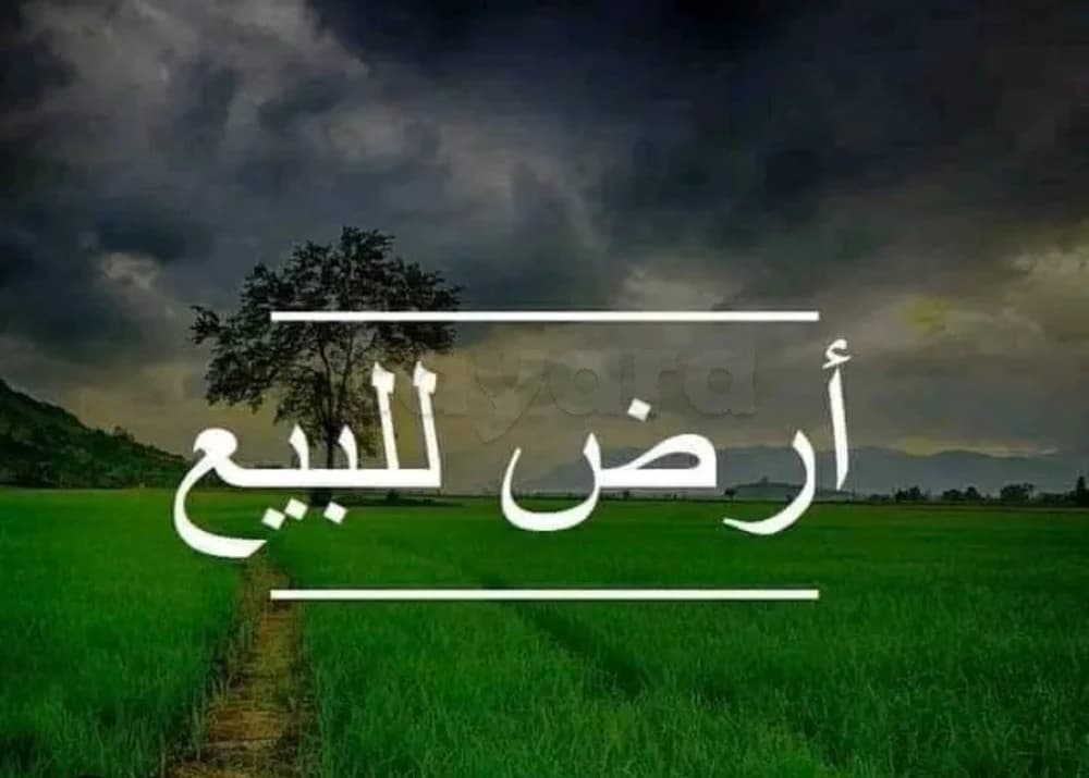  Terrain agricole à vendre à Sbikha عقار فلاحي للبيع بالدخيلات السبيخة 