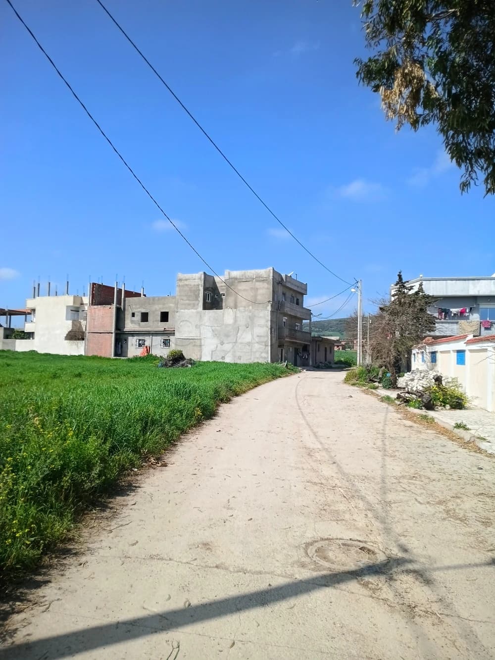 Terrain à vendre borj taleb bizerte