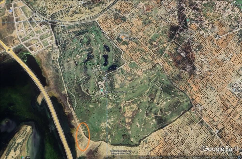 Opportunité Exceptionnelle – Terrain R+8 à Fort Potentiel