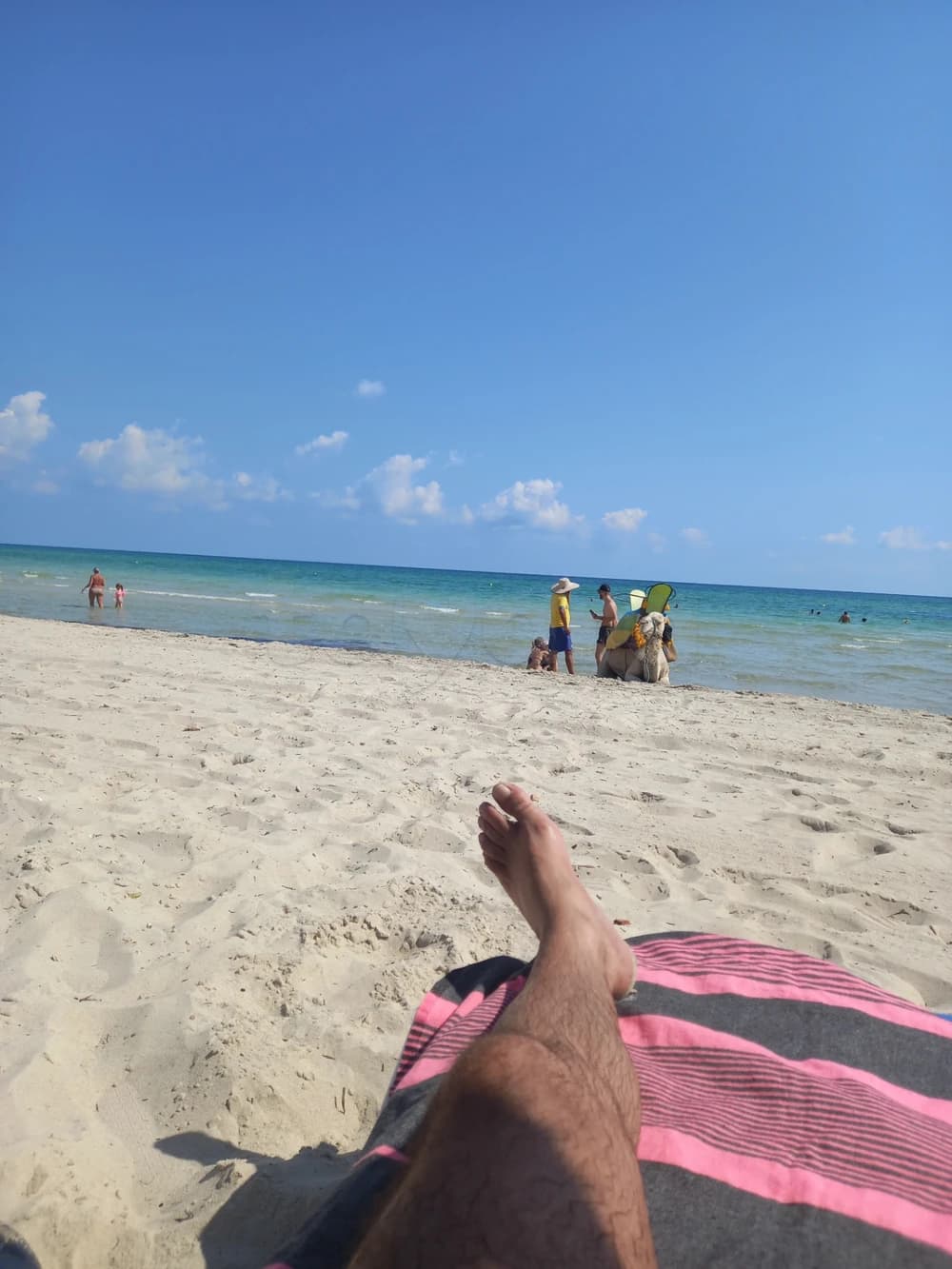 S3 à vendre cité wafa mrezga  6 étage 