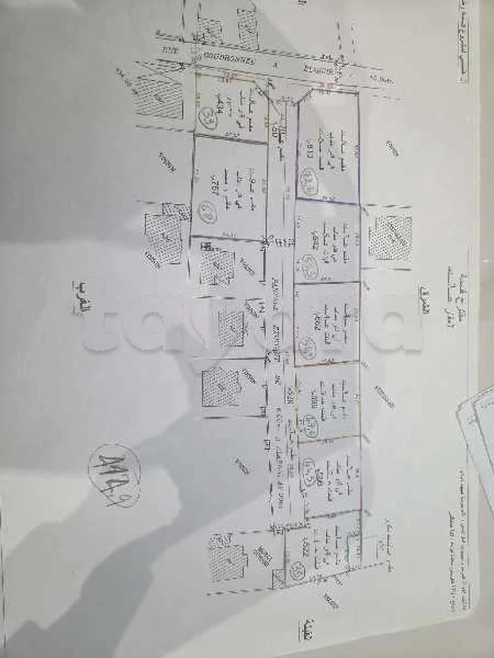 قطعة أرض مقسمة للبيع