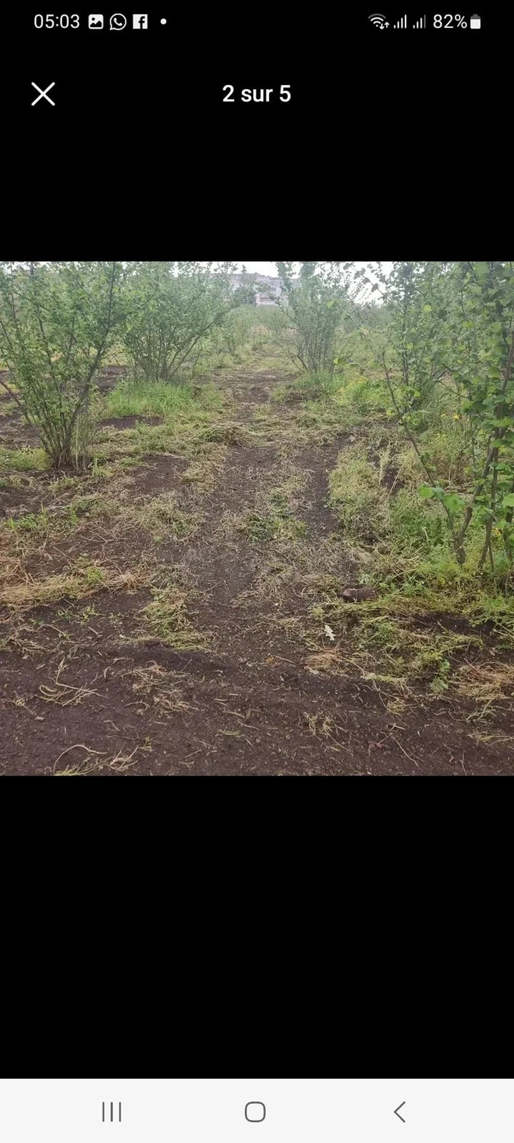 terrain a vendre beja coin 1500m2  R+3