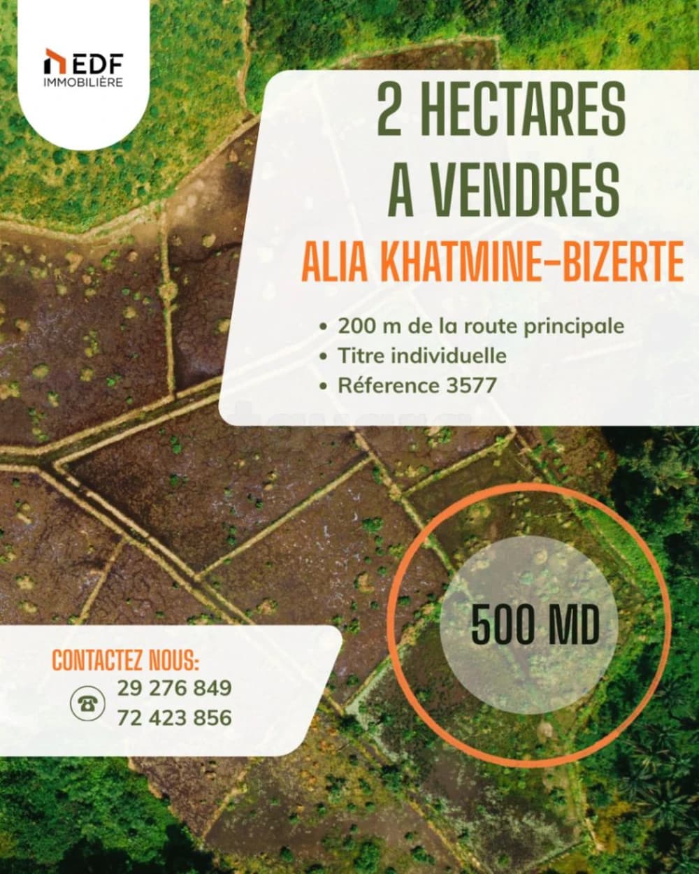 2 Hectares A Vendre à Khetmine lAlia - Bizerte