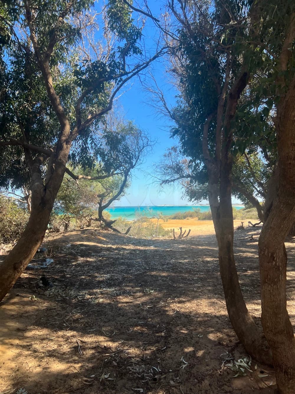 فرصة الإستثمار في1000 متر مربع