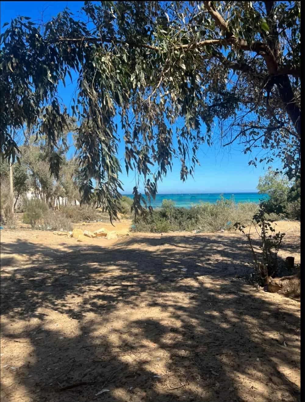 فرصة  للإستثمار ابتداء من 1000 متر مربع  