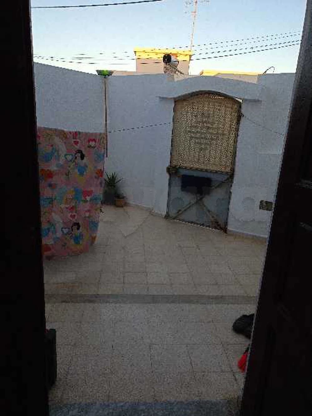 فرصه لا تعوض : منزل ارضي طريق تنيور كلم 5