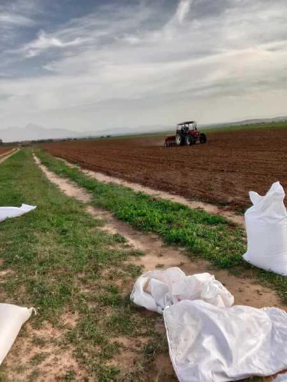 للبيع 5هكتارات في بئر مشارقة على الطريق الرئيسية عد3د مباشرة 