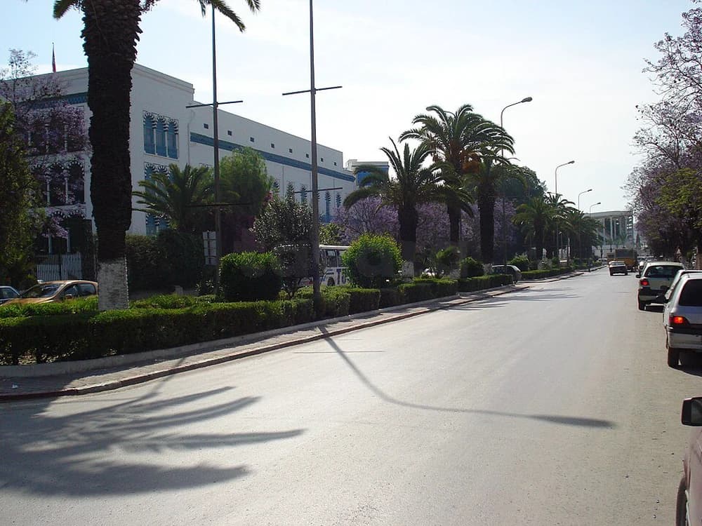 Appartement au Bardo