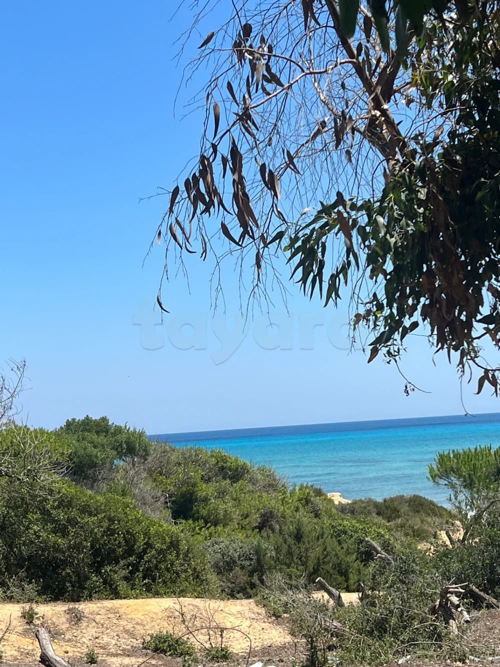 1 ha a vendre pour les investisseures 