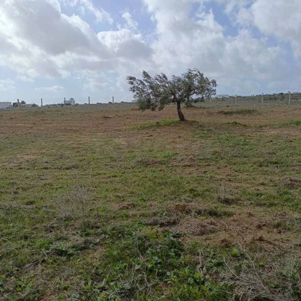 للبيع 9000م بضواحي الحمامات 99958728