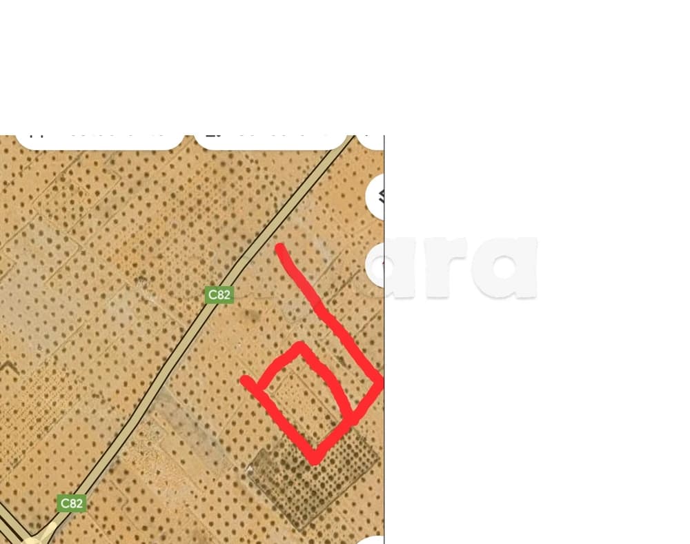 21 ZITOUNA  ROUTE MAHDIA KM 14