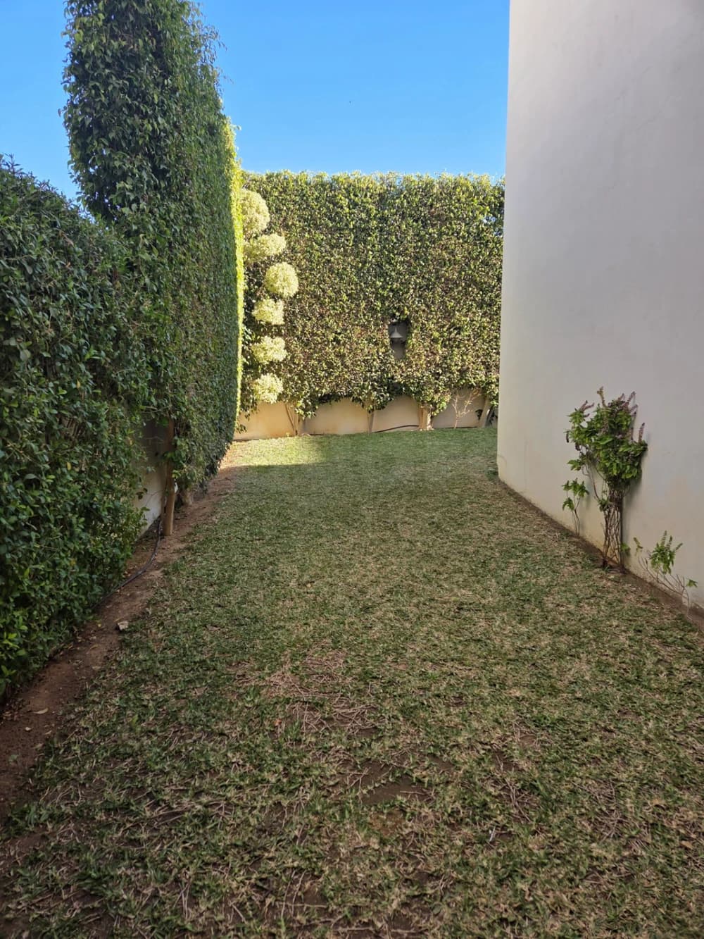 S+3 A louer avec Jardin