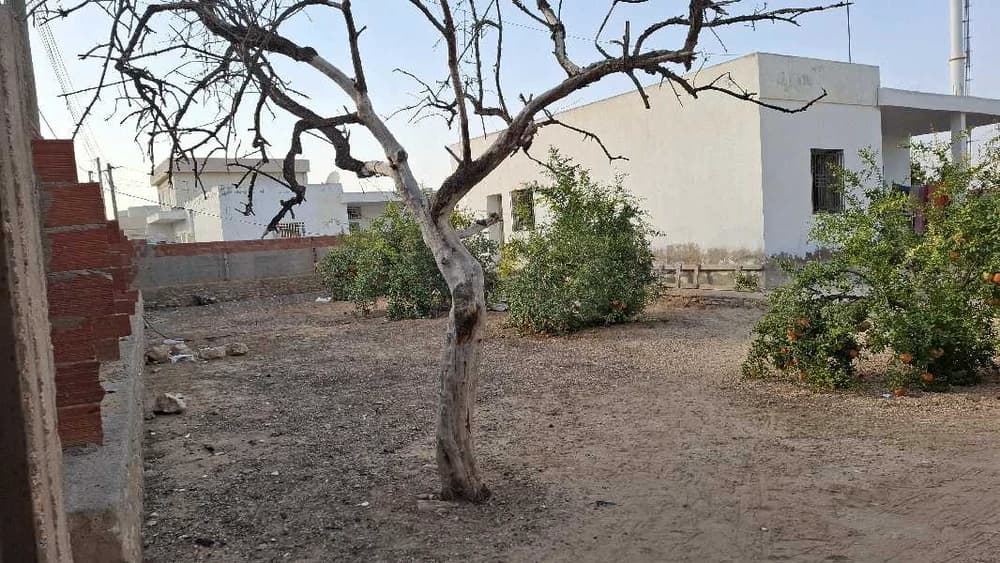 دار قديمة بها أرض للبيع 