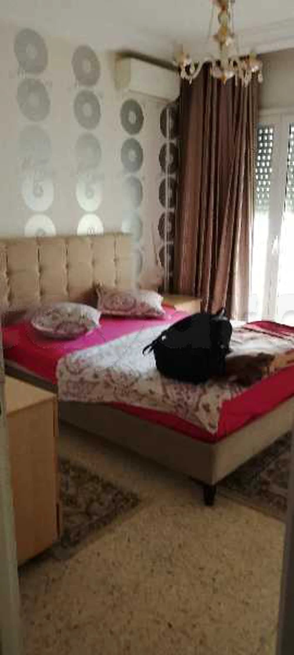 شقة مفروشة في تونس العاصمة باليوم 