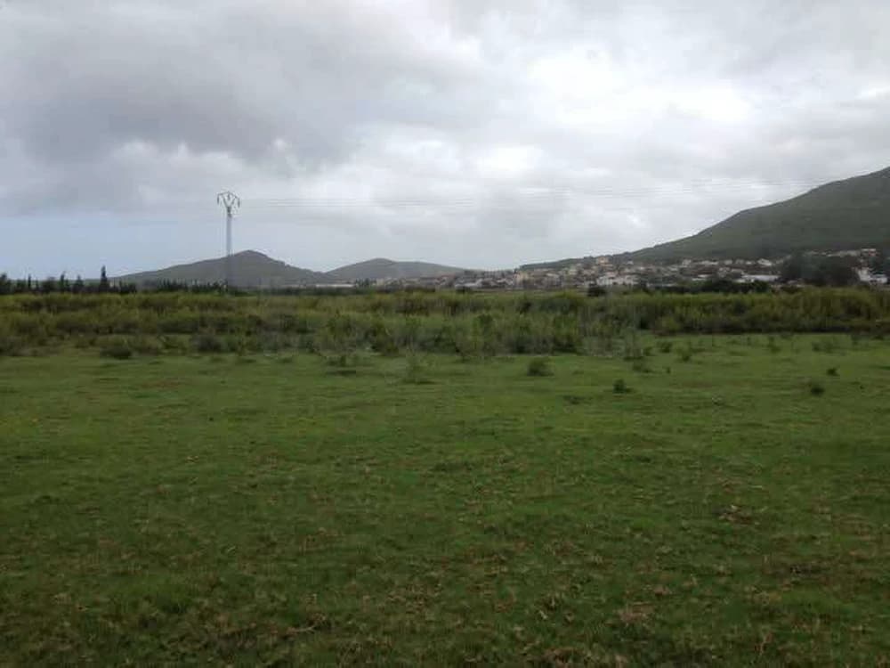 TERRAIN AGRICOLE TABARKA