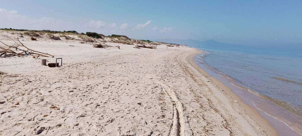 للبيع أرض فلاحية على البحر مباشرة   