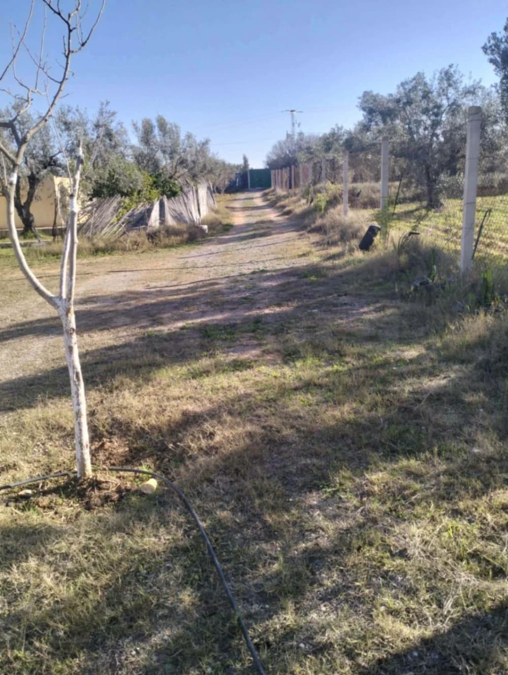 Ferme 2 hectares à kalaa kbira 
