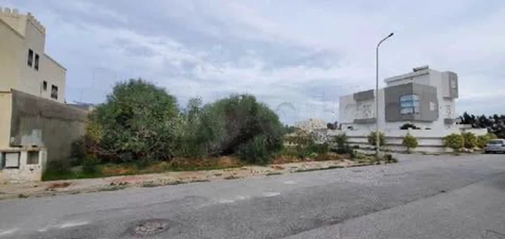 Terrain les flamants rose Raoued