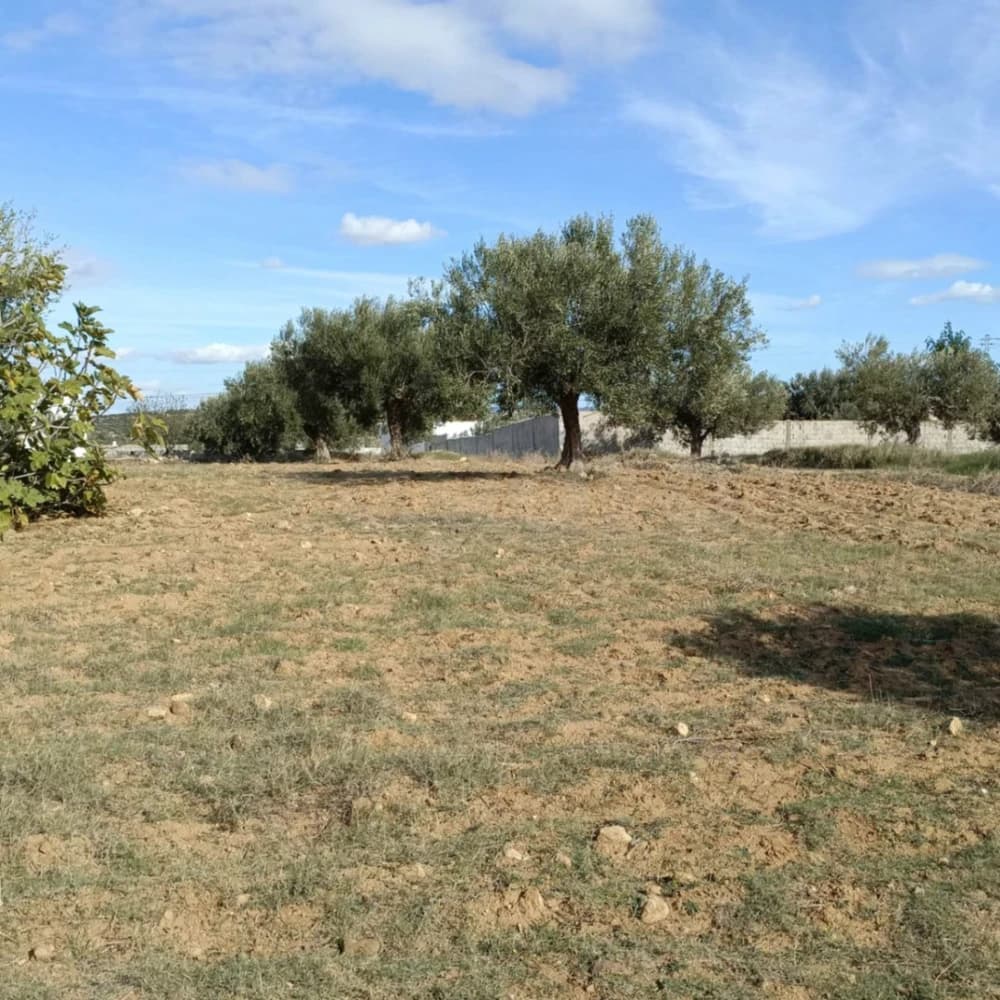 AV beau terrain de 1000m à Monchar hammamet sud 99958728