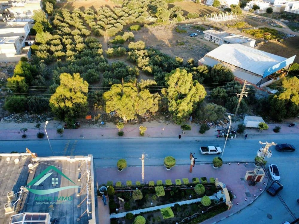 Terrain commercial 13500 m² à Kelibia