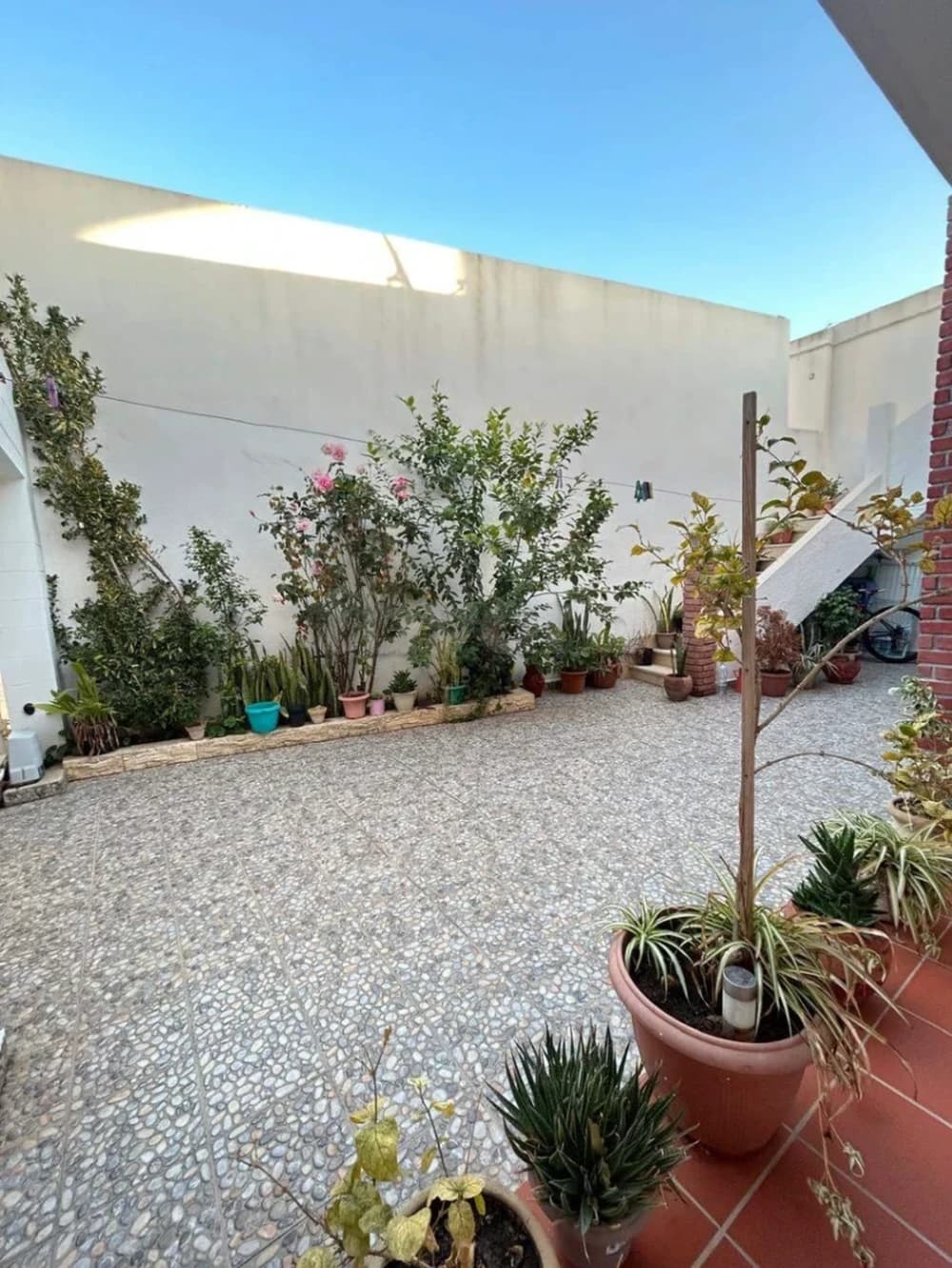 Occasion a ne pas rater une belle maison+ deux magasins 